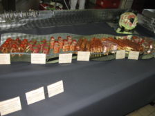 Meisterprüfung 2011